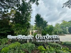 -新加坡植物园