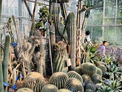 -国家植物园南园