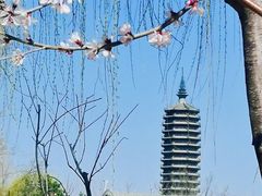 -西海子公园