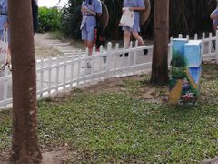 -三亚红色娘子军演艺公园景区