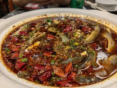 -情妹耙泥鳅·江湖川菜(科华店)