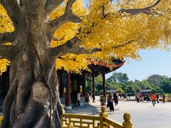 -广东圆玄道观