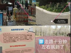 -东郊湿地公园