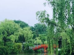 -盆景园(扬州大运河文化旅游度假区)