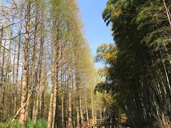 -同里国家湿地公园