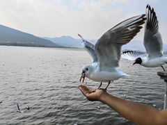 -滇池海埂公园