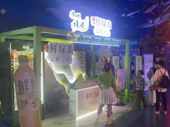 -烟台海昌鲸鲨海洋公园