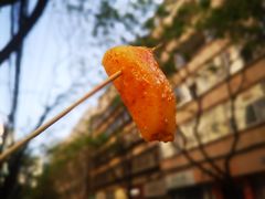 卤腐洋芋-雪儿钱局泡菜