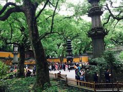 -普陀山风景名胜区-法雨禅寺