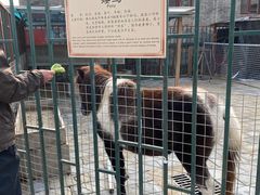 -有喜胶东小馆(超极合生汇太申祥和店)