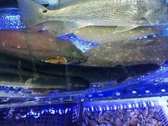 -日照大牌檔•小船海鲜(万平口店)