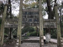 -镇江市南山风景名胜区竹林景区