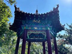 -沂蒙山旅游区云蒙景区(蒙山国家森林公园)