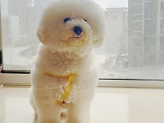 -惠康宠物医院(华能路店)