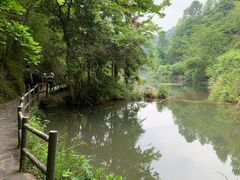 -夏霖九天银瀑风景区