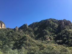 -大岭沟猕猴桃谷风景区