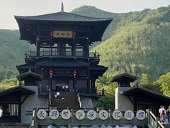 -大唐贡茶院