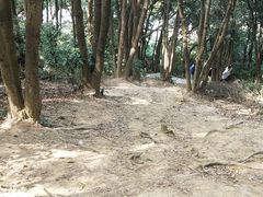 -梧桐山风景名胜区