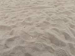 -野狸岛