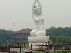 -荷塘月色湿地公园·向阳花洲