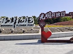 -上海鲜花港