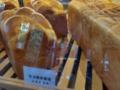 -WHEN PIGS FLY当猪飞