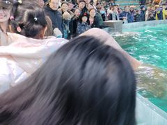 -哈尔滨波塞冬海底世界
