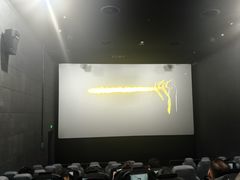 -SFC上影影城(新世界店)