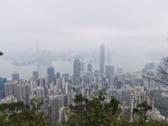 -太平山顶