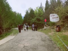 -白水寺森林公园