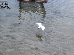 -龙舟池