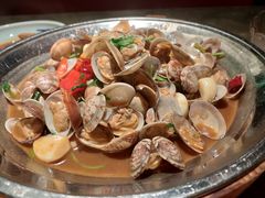 铜盘花蛤-新白鹿餐厅(嘉兴八佰伴华府店)