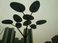 -白鹭湾湿地公园