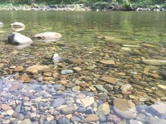 -下河湾农家乐