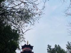 -云龙湖旅游景区