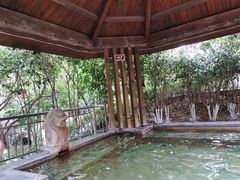 -张家港金凤凰度假村温泉