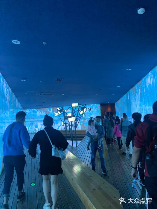 溱湖国家湿地公园图片