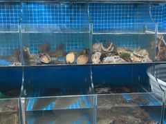 -宾朋海鲜特色美食餐厅·纯手工鲅鱼水饺(兴海路店)