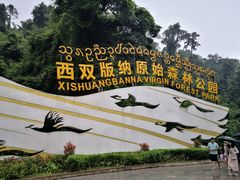 -西双版纳原始森林公园