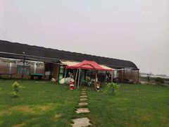 -美家乐农庄·露营·团建(大治路店)