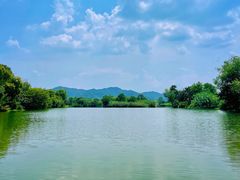 -西溪国家湿地公园