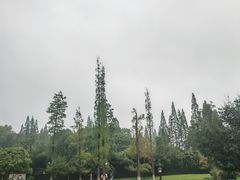 -习家池