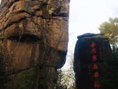 -汤旺河林海奇石景区