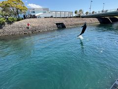 -鹿儿岛水族馆