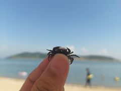 -大连蚂蚁岛度假区