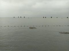 -滆湖低碳生态公园