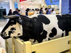 -红星前进面包牛奶公司(君太店)