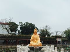 -宝墨园景区