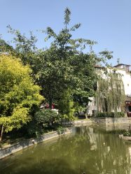-莲生母婴月子中心(清水河公园店)