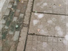 -靓靓蒸虾(中山公园店)